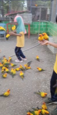 IMG-20250928-WA0110