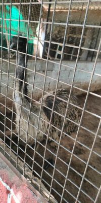 IMG-20250928-WA0160
