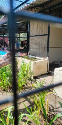 IMG-20250928-WA0170