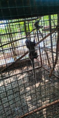 IMG-20250928-WA0171